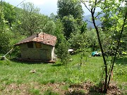 45 Bella baita nel verde del bosco
